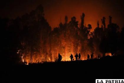 Varios voluntarios llevan suministros para los bomberos cerca de árboles que arden /AP Foto/Matías Delacroix