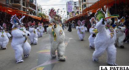 Simpáticos osos presentaron una coreografía bastante coordinada en la ??Obra Maestra? 