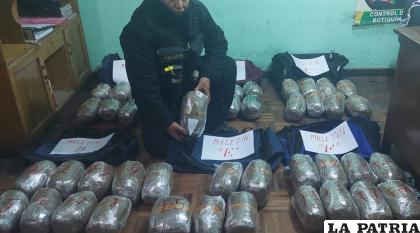 La afectación al narcotráfico es de 9.800 dólares tras el secuestro de 49 kilos de marihuana /Jaime Mamani 