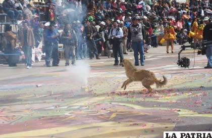En el Carnaval apareció una nueva versión del can “Petardos”