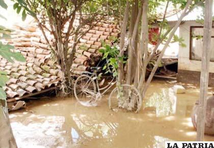 A causa de las inundaciones avizoran días muy difíciles por la escasez de productos agrícolas
