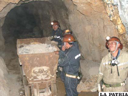 La nueva Ley Minera, comenzará a ser consensuada antes que finalice este mes