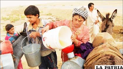 En Hasaka, Siria, el agua de lluvia se recoge en las zonas remotas y es llevada en burro a los pueblos y ciudades que sufren de escasez de agua.
