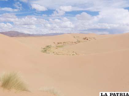 Las miles de hormigas enviadas por Huari fueron convertidas en arena, por la Virgen del Socavón 