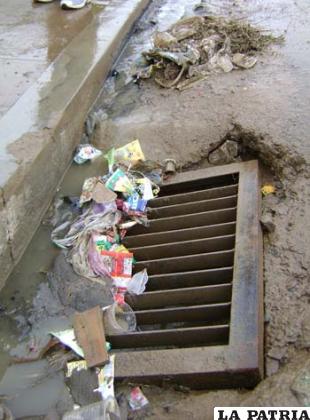 Arena y basura toponeadas en boca tormenta provocan inundaciones en Parque Ecológico ubicado en Junta Vecinal Rumy Campana