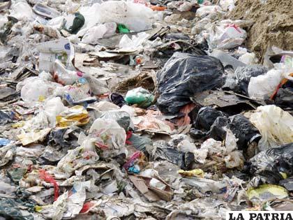 Las bolsas de plástico demoran más de 100 años en reciclarse