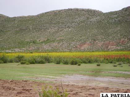Zona limítrofe en conflicto entre Oruro y Potosí 