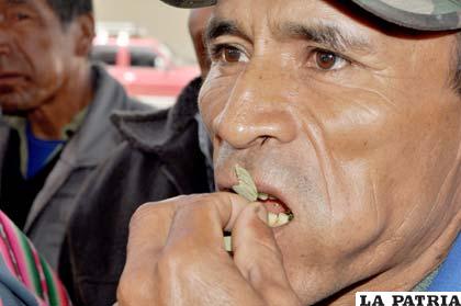 Según el Presidente Morales, no hay un dato en el mundo sobre efectos dañinos del consumo de coca