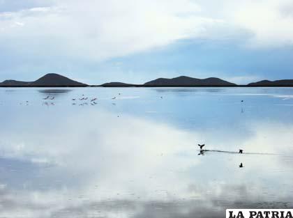 Ambientalistas demandan mayor atención para preservar el lago Poopó (Foto archivo)