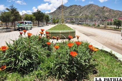 La zona Sur de la ciudad de Oruro luce cubierta de verde y de hermosas flores