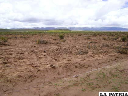 Resolución Administrativa del INRA prohíbe asentamiento en el sector en conflicto entre Oruro y Potosí 