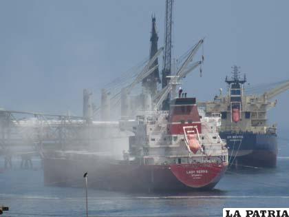 Carguío de bórax a un barco, provocando contaminación en el mar