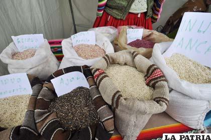 Variedad de producción de quinua en Oruro