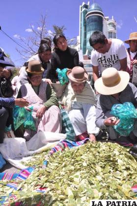 Descendientes de aymaras y quechuas en el día del acullico