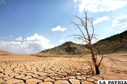 Gobiernos deben trabajar en políticas para paliar la sequía