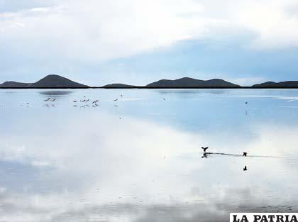 Lago Poopó se encuentra contaminado