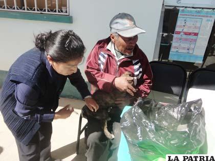 Vecinos de zonas periurbanas hicieron vacunar a sus mascotas
