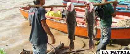 Pescadores weenhayek habitan en el Sur de Tarija