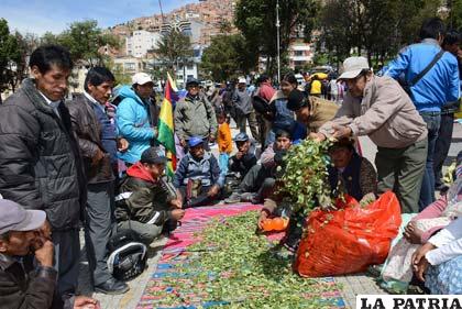 Jornada de acullicu en Cochabamba