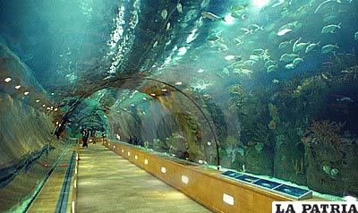 Túnel de cristal bajo el mar