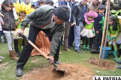 El Presidente Morales plantó arbolitos en la plaza Bartolina Sisa y Tupac Katari