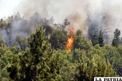 Parque nacional afectado por incendio en Chile