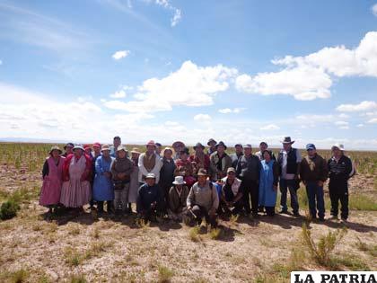 Pobladores de Huallchapi que lograron sembrar 100 hectáreas de quinua