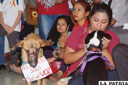 Voluntarios presentaron a perros abandonados al Presidente Morales