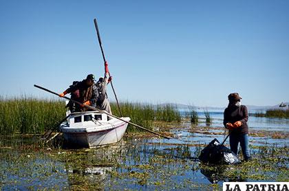 Existe preocupación por la contaminación en el lago Titicaca /abi.bo