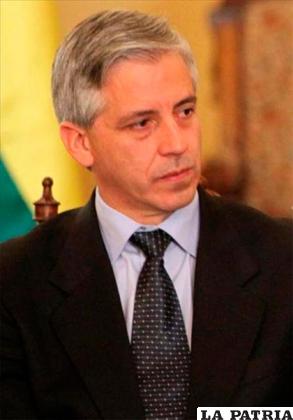 Álvaro García Linera /VICEPRESIDENCIA