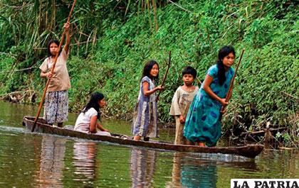 Pueblos amazónicos temen impacto ambiental /ANF