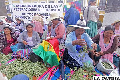 El acto por el Día del Acullico se efectuó en la plaza 14 de Septiembre de Cochabamba /ABI.BO