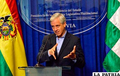 El vicepresidente Álvaro García Linera /ANF