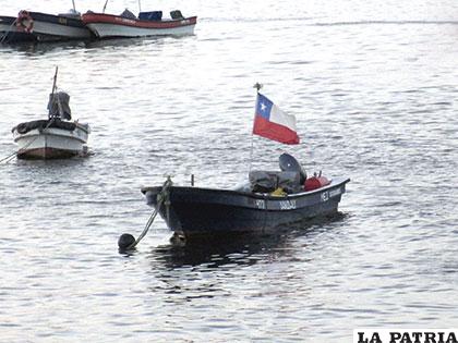 Botes con bandera chilena permanecen anclados en el puerto de Mejillones