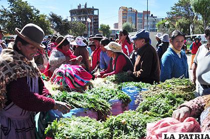Feria mostró potencial de Guardaña en producción de hortalizas y otros