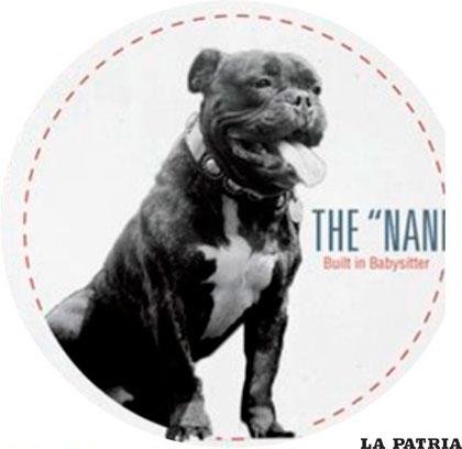 Pitbulls catalogados 