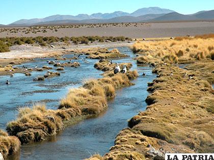 Aguas del Silala pertenecen a Bolivia