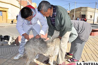 La vacunación antirrábica en el sector del centro de salud La Aurora pretende llegar a 2.800 canes /Archivo