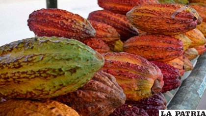 Cacao colombiano se gana un espacio en París