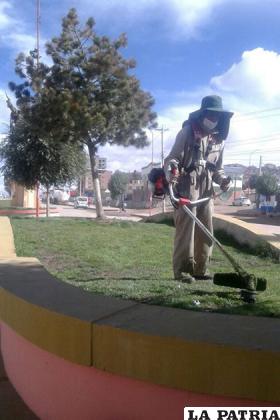 Trabajadores continúan  realizando el mantenimiento a las áreas verdes /metrolibre.com