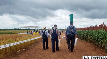 Visitantes recorren parcelas demostrativas de cultivos de soya /ANF