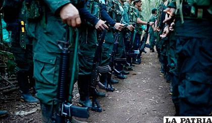 Al menos siete disidentes de las FARC, que no aceptaron el acuerdo de paz con el Gobierno, murieron en la operación militar