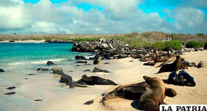 Las Islas Galápagos