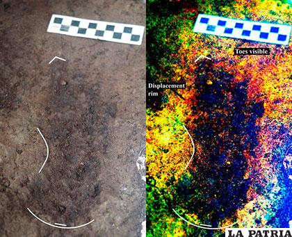 Investigadores descubrieron en la Isla Calvert, 29 huellas humanas de al menos tres tamaños diferentes /Montevideo Portal