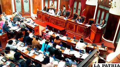 En la Cámara de Diputados se debate el proyecto de ley contra el contrabando /ANF