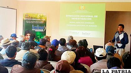 Durante el curso sobre el manejoÂ del cultivo del nogal, dirigido a agricultores /MDRyT