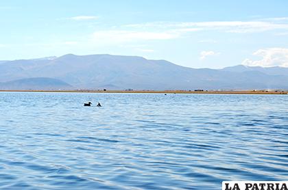 Gracias a lluvias mejoró caudal del lago Uru Uru y Poopó /LA PATRIA