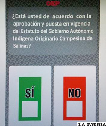 Así será la papeleta en la que sufragarán los pobladores de Salinas /LA PATRIA