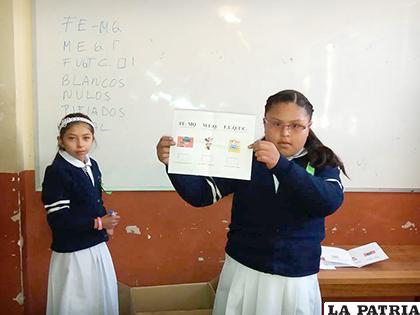Estudiantes de primaria y secundaria podrán elegir a sus representantes / LA PATRIA/ARCHIVO