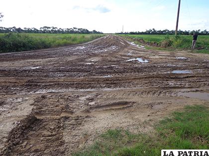 Deteriorada condición de los caminos perjudica a los productores